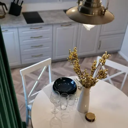 公寓 Cosy Center 克莱佩达