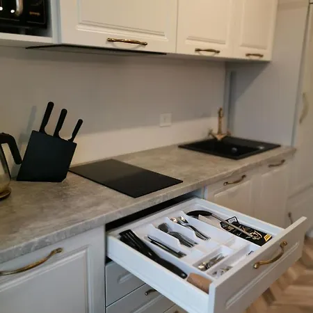 公寓 Cosy Center 克莱佩达