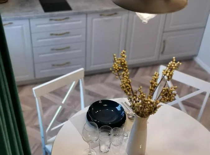 公寓 Cosy Center 克莱佩达