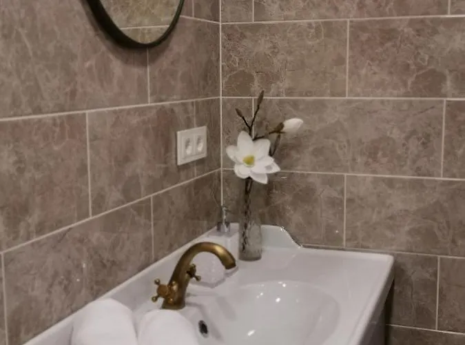 Cosy Center 公寓 克莱佩达